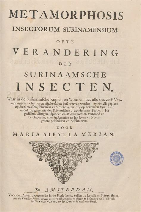 Merians Metamorphosis Of The Insects Of Suriname