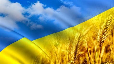 Український спорт #sport #спорт #sv_sport. 纪念乌克兰独立日艺术展览赛在武汉拉开帷幕， 武汉市是乌克兰首都基辅市的友好城市。 | 乌克兰驻华大使馆