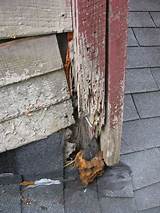 Termite Damage Garage Images