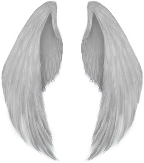 Wings Png Transparent Image Download Size 1061x1201px