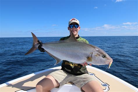 How To Catch Amberjack And Samson Fish Tackle Tactics