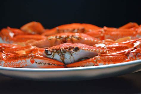 Seafood The Food Of Ocean Top 10 Popular Seafoods In 2022 Effizie Magazine