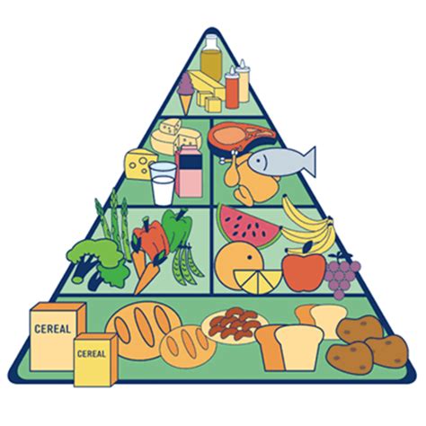 Vídeo Controla tu peso con La pirámide alimentaria Instituto DHARMA