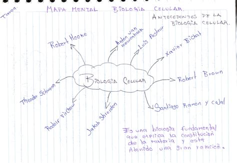 Mapa Mental De Biologia Mapa Mental De Biologia Celular