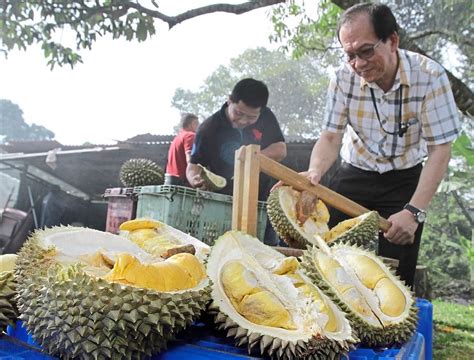 Durian Info Durian Ambassadors On The World Wide Web
