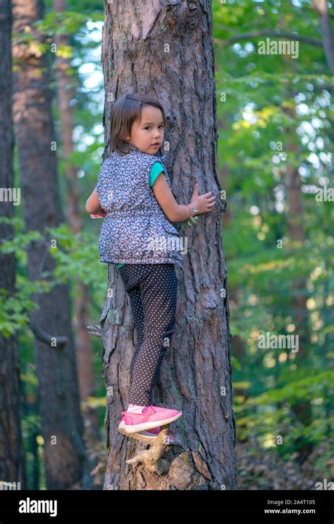 Little Girl Climbing On A Tree In The Forest Stock Photo Alamy
