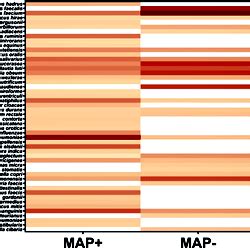 Heat Map Of The Relative Abundances Of The Most Common Species In The Microbiome Data Of Map