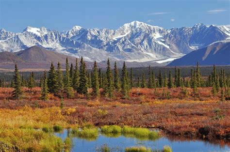 Alaska Range Landscape Off Of The Denali Highway Winterbea Paxson