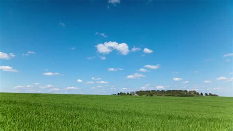 Beautiful Green Grass Clear Blue Sky Summer Landscape High Definition