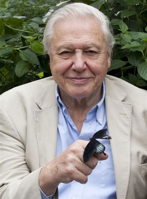 Attenborough and the giant dinosaur. 6 Things You Didn't Know About David Attenborough