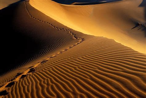 Namibia Wallpapers Wallpaper Cave