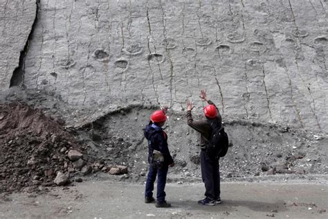 Huge Dinosaur Footprint Found In Bolivia