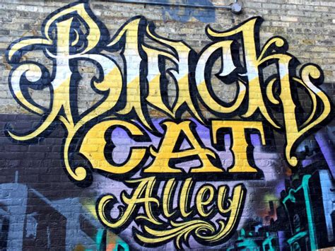 Milwaukee cats animals black gatos kitty cats animaux black people animal. Black Cat Alley debuts new murals and an urban garden ...