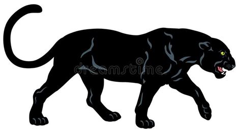 Black Panther Stock Vector Illustration Of Pardus White 38281094