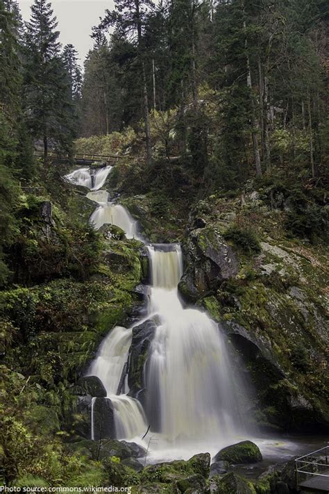 Interesting Facts About The Black Forest Just Fun Facts