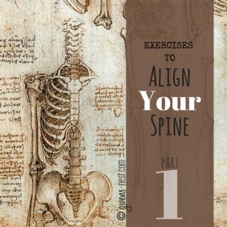 Align Your Spine Part 1 Gwen S Nest
