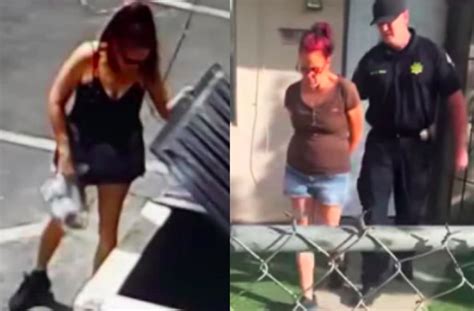 Coachella Woman Arrested After Allegedly Tossing Bag Of 7 Live Puppies Into Dumpster