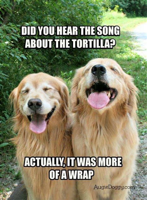 20 Of The Best Or Worst Funny And Clean Dad Jokes For Father’s Day Anything Pawsable
