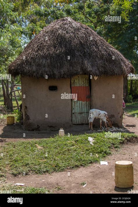 A Traditional Mud Hut With A Thatched Roof In A Rural Village Near