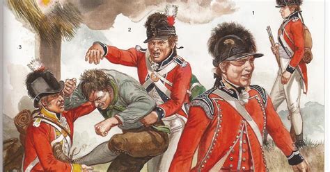 Sabre And Bayonet Armies Of The Irish Rebellion 1798 Reidembleton