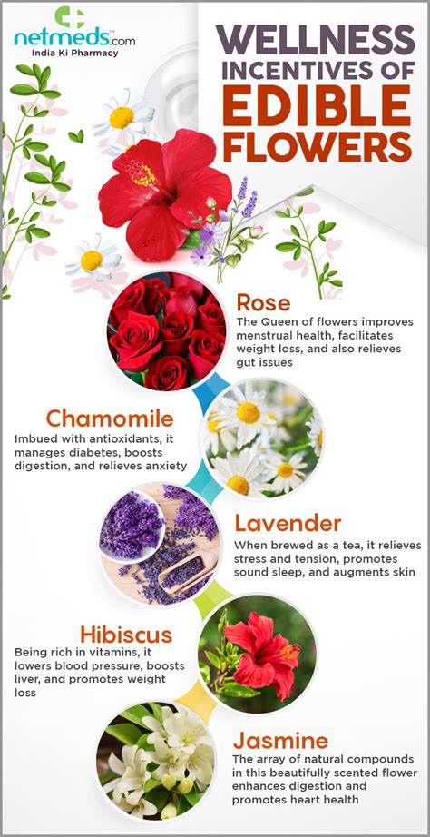 Edible Flowers Incredible Health Benefits Of Adding These Blossoms To