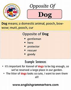 Dog Meaning Chart A Visual Reference Of Charts Chart Master
