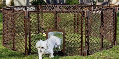Best Temporary Dog Fence Ideas › Ruangatas Designs