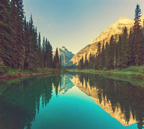 Reflection Forest Lake Mountains Nature Water Hd Wallpaper Peakpx