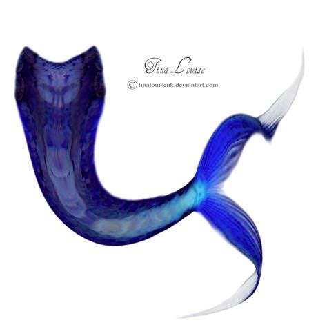 Mermaid Tail Png Image Png All