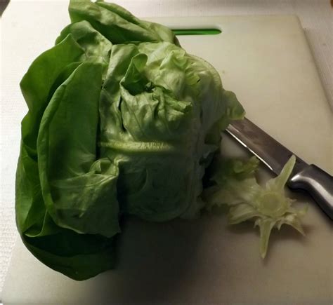 Storing Lettuce And Keeping It Fresh Instructables