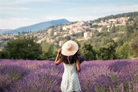 Touring The Lavender Fields Of France With Experience Provence