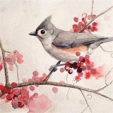 How To Draw A Tufted Titmouse Twoguysandavan