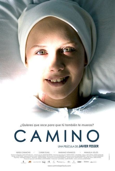 Camino 2008 Filmtvit