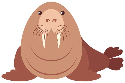 Walrus With Happy Face 298423 Vector Art At Vecteezy