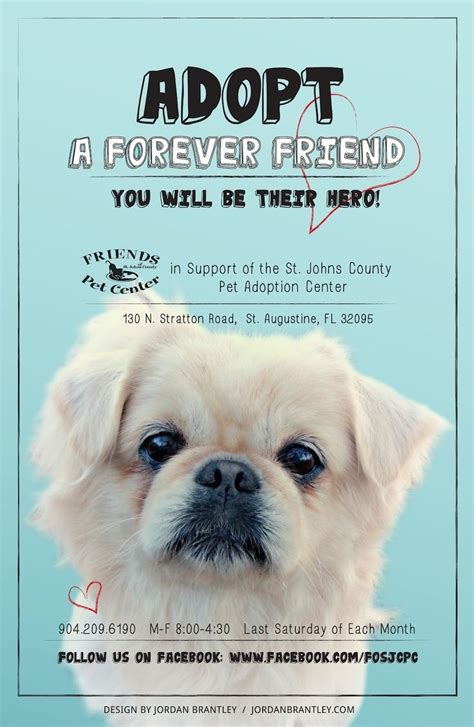 Adopt Poster Pet Adoption Shelter Dogs Adoption Pets