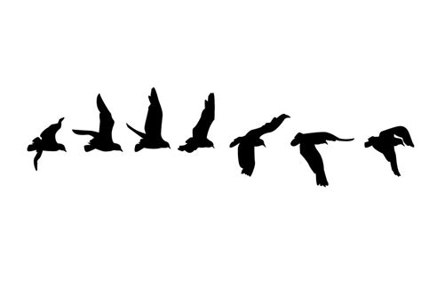 Muhammed alhamo 19.409 views1 months ago. مسوَّدة -اقتباسات- - rawanalhrbi