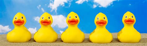 A Guide For Teachers Getting Your Ducks In A Row Teacher Booker