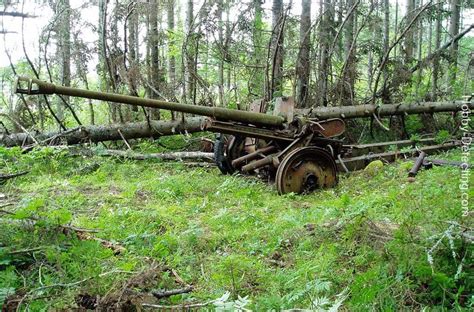 Bolshoy Tyuters Abandoned Island Full Of Ww2 Wehrmacht Relics