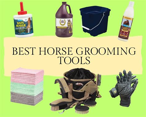 11 Best Horse Grooming Tools For Every Equisetin Owner