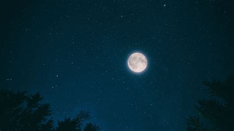 Фото луна звезды Night Sky Moon Stars Forest 4k Фото 17037
