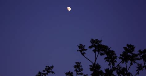 Machen sie einen rechtsklick auf eine beliebige freie stelle ihres desktops und wählen im menü anpassen aus. Blue Moon II | Wallpaper | Galerie | MacTechNews.de