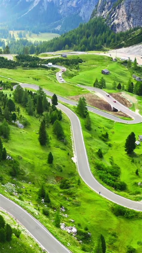 Unveiling the Silent Stories of the Forest 28671295 Stock Video at Vecteezy