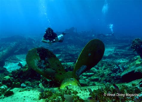 Mexico Off The Beaten Trek Diving Banco Chinchorro Yucatan Dive Trek