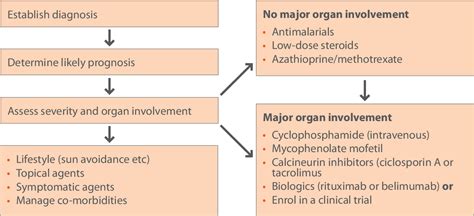 Figure 1 From Overview Of The Management Of Systemic Lupus