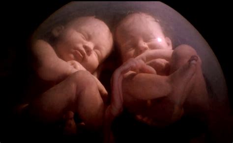 Cronología de los movimientos del crío linear unit el vientre materno. Bebésgemelos