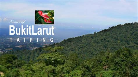 Bukit Larut Maxwell Hill Taiping Perak Jommjalan