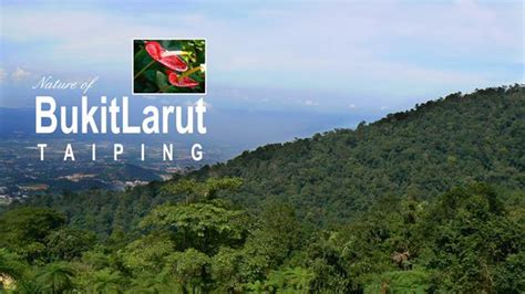 Bukit larut, formerly known as maxwell hill, is a popular highland destination in malaysia. Bukit Larut (Maxwell Hill) - Taiping, Perak. ~ JommJalan