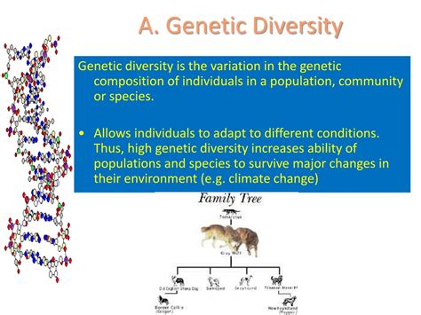 Ppt Importance Of Biodiversity Powerpoint Presentation Free Download