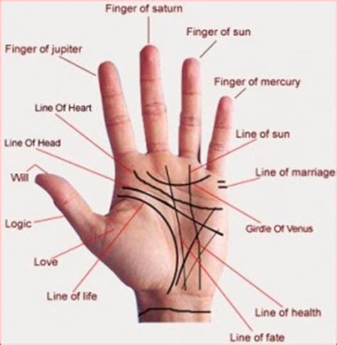 Hand Astrology About Marriage Ikuzo Astrology Palm Reading Palmistry Palmistry Palm Reading