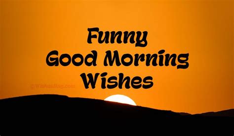Funny Good Morning Wishes Messages And Quotes Wishesmsg